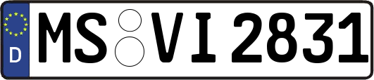 MS-VI2831