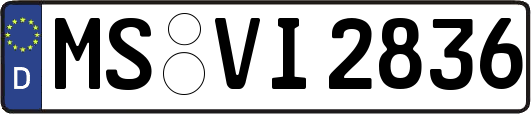 MS-VI2836