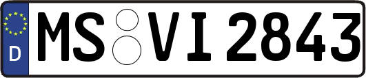 MS-VI2843