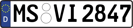MS-VI2847
