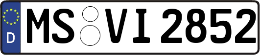 MS-VI2852