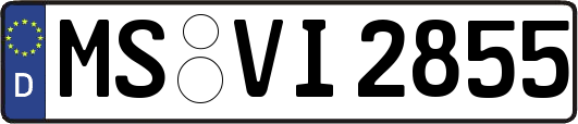 MS-VI2855