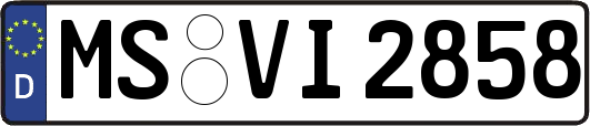 MS-VI2858