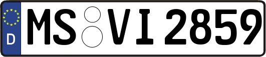 MS-VI2859