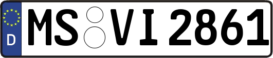 MS-VI2861