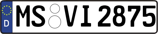 MS-VI2875