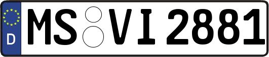 MS-VI2881