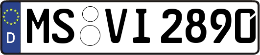 MS-VI2890