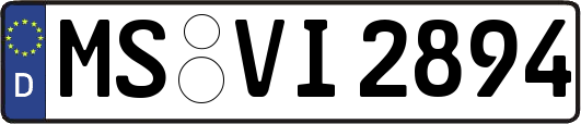 MS-VI2894