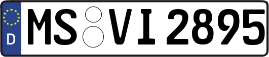 MS-VI2895