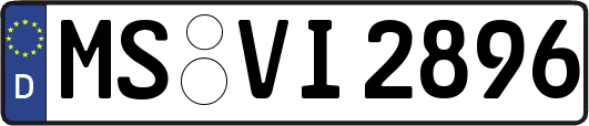 MS-VI2896