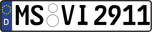 MS-VI2911