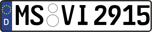 MS-VI2915