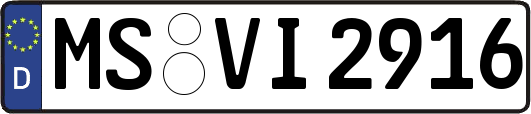 MS-VI2916