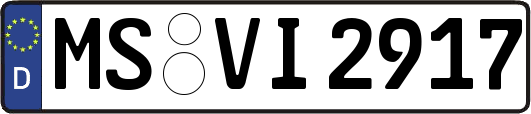 MS-VI2917