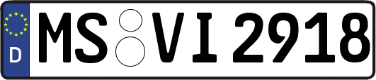 MS-VI2918