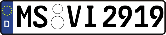 MS-VI2919