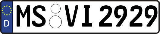 MS-VI2929