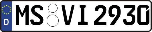 MS-VI2930