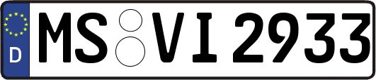 MS-VI2933
