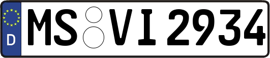 MS-VI2934
