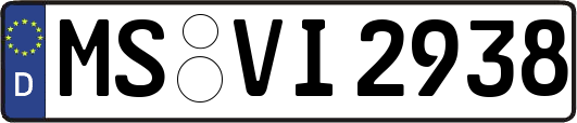 MS-VI2938