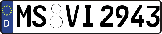 MS-VI2943