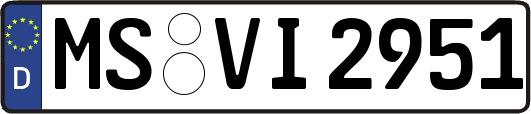 MS-VI2951