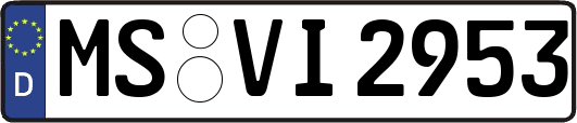 MS-VI2953