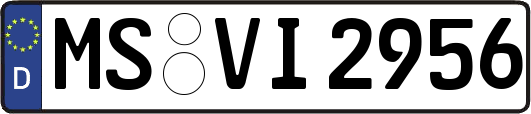 MS-VI2956