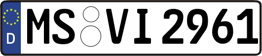 MS-VI2961