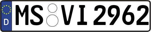 MS-VI2962