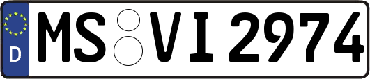 MS-VI2974