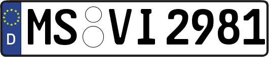 MS-VI2981