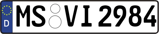 MS-VI2984