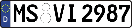 MS-VI2987