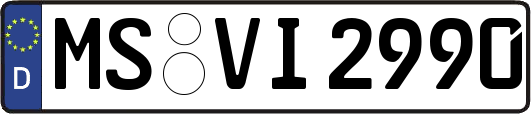 MS-VI2990