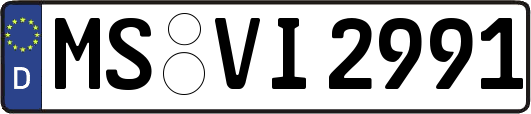 MS-VI2991