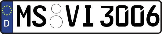 MS-VI3006