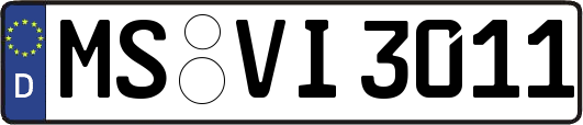 MS-VI3011