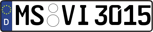 MS-VI3015