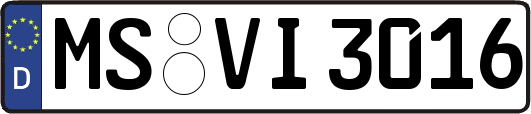 MS-VI3016
