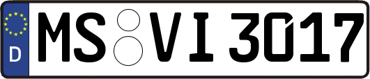 MS-VI3017