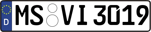 MS-VI3019