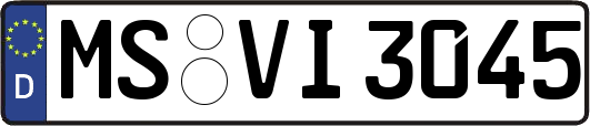 MS-VI3045