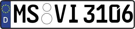 MS-VI3106