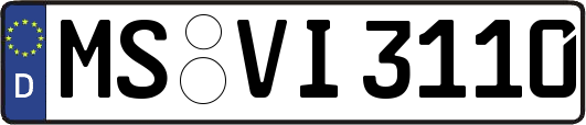 MS-VI3110