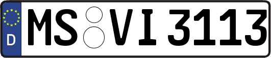 MS-VI3113
