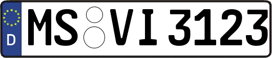 MS-VI3123
