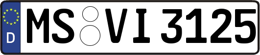 MS-VI3125